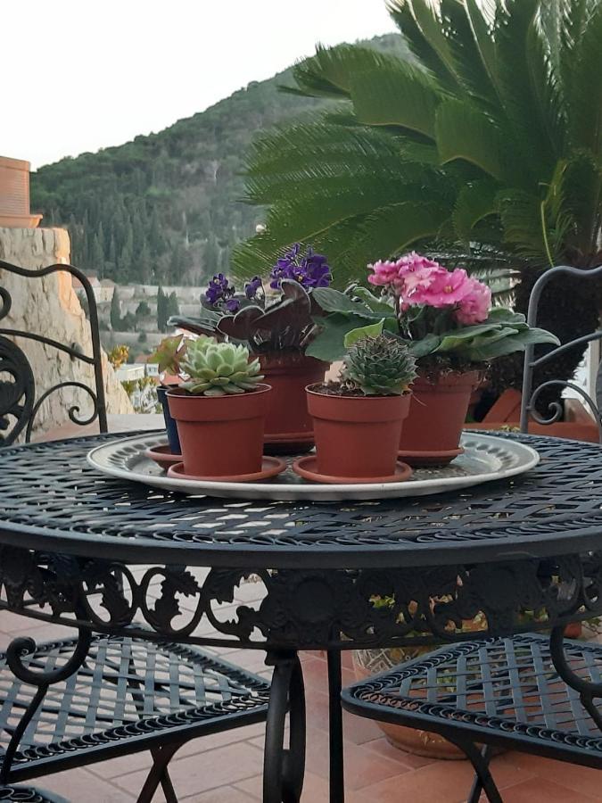 Luxury Sea View Dubrovnik